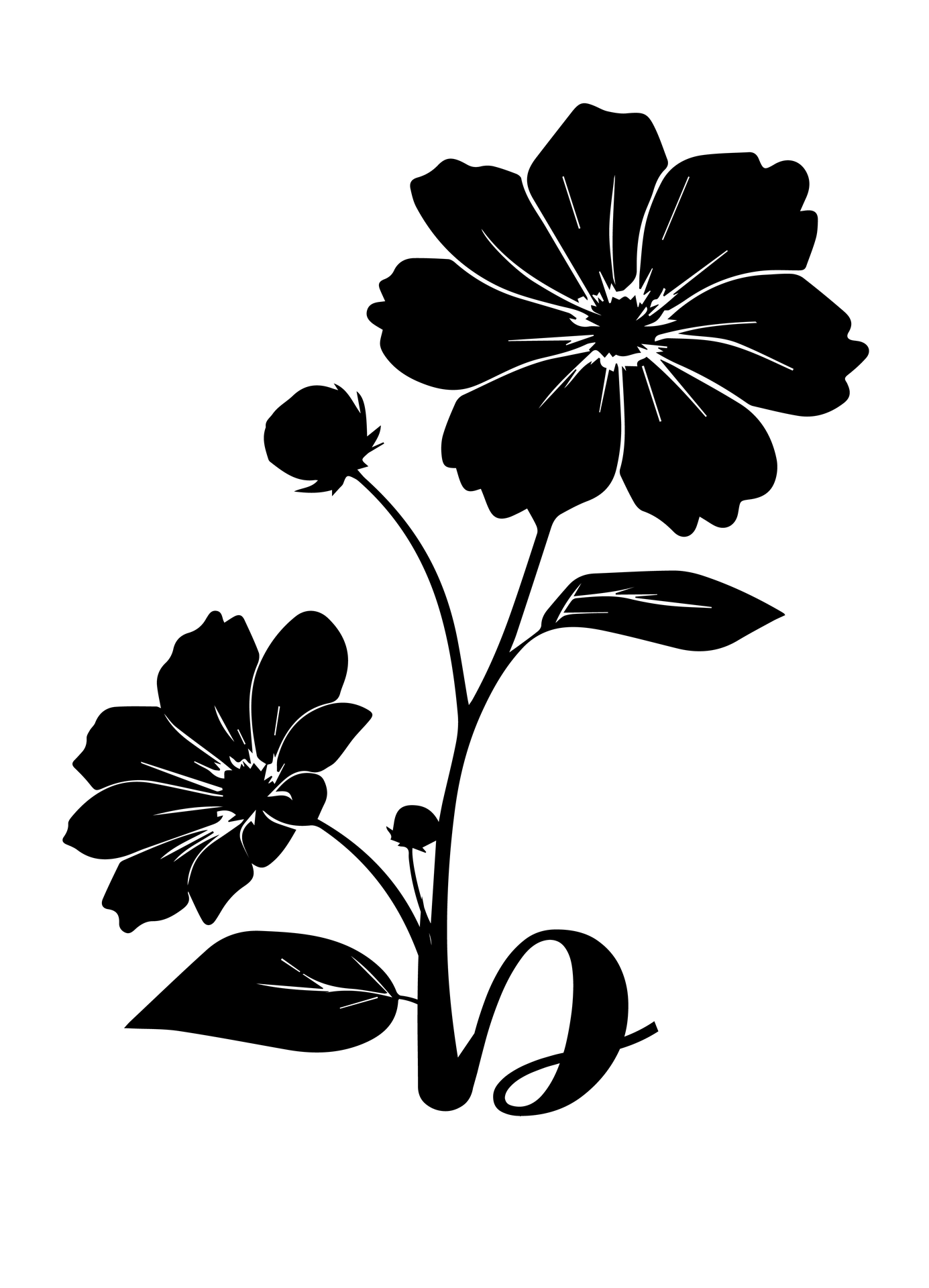béguin agency